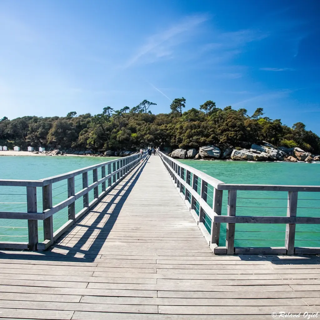 TiHolen_Carre_Estacade